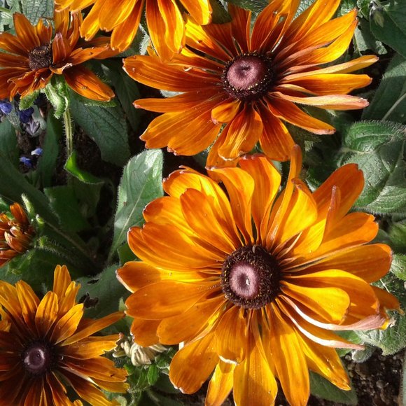 Clothes - Picture 1 of 1